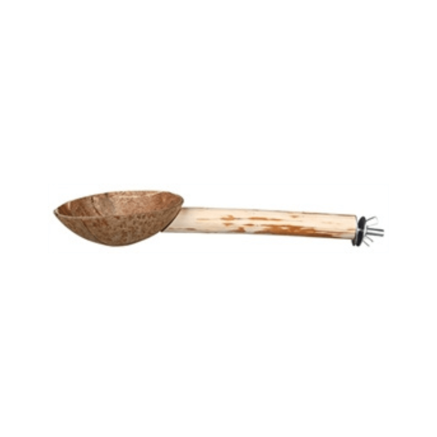 Trixie zitstok met voerbak koksnoot 25 cm 3 st - Papegaaishop