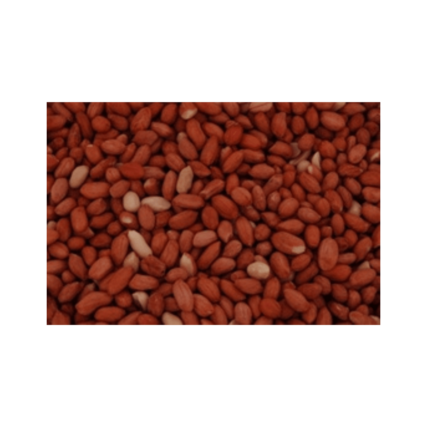 Pinda's gepeld 25 kg - Papegaaishop