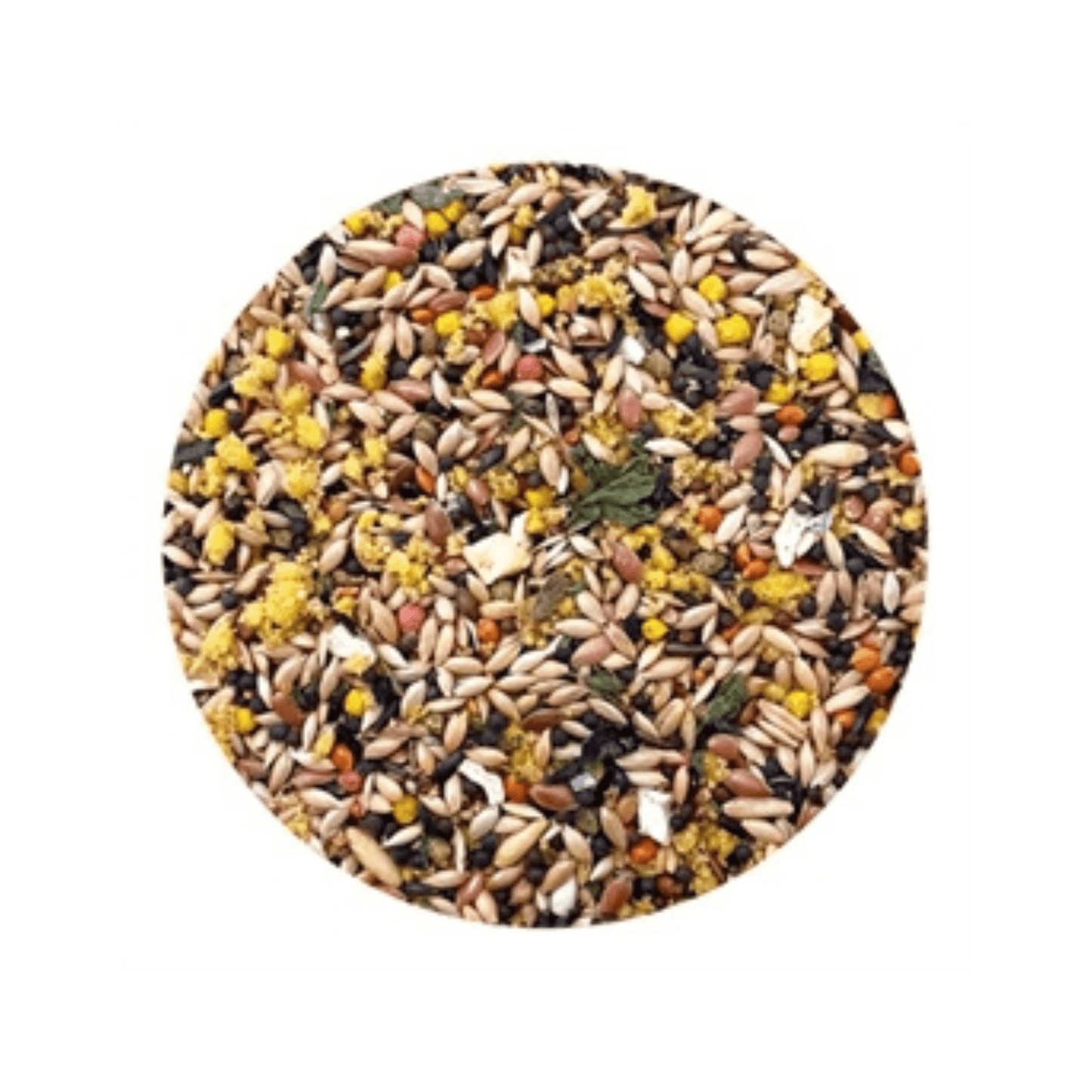 Utopia kanaries top quality 1 kg - Papegaaishop