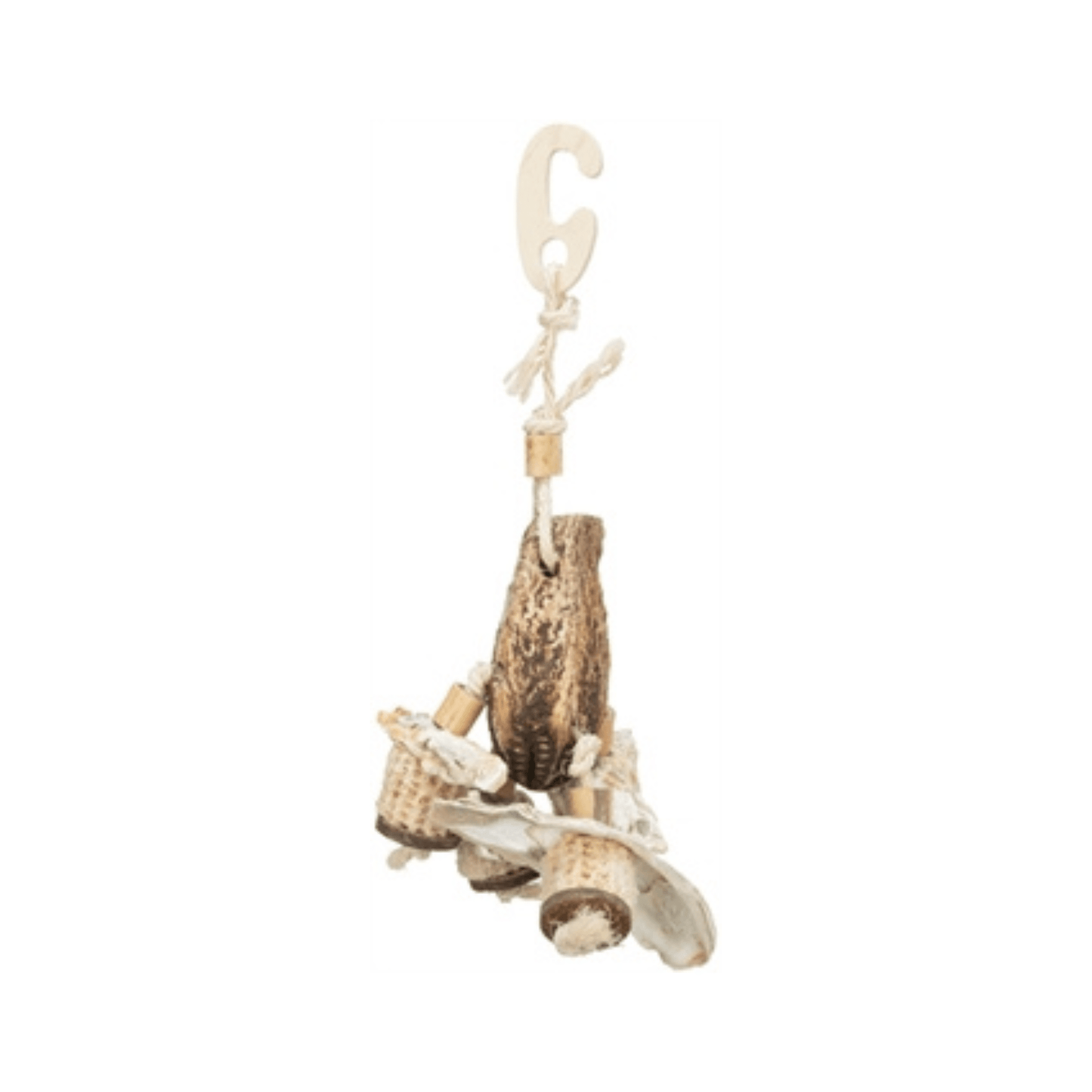 Trixie natuurspeelgoed mahonieschelpen 26 cm - Papegaaishop