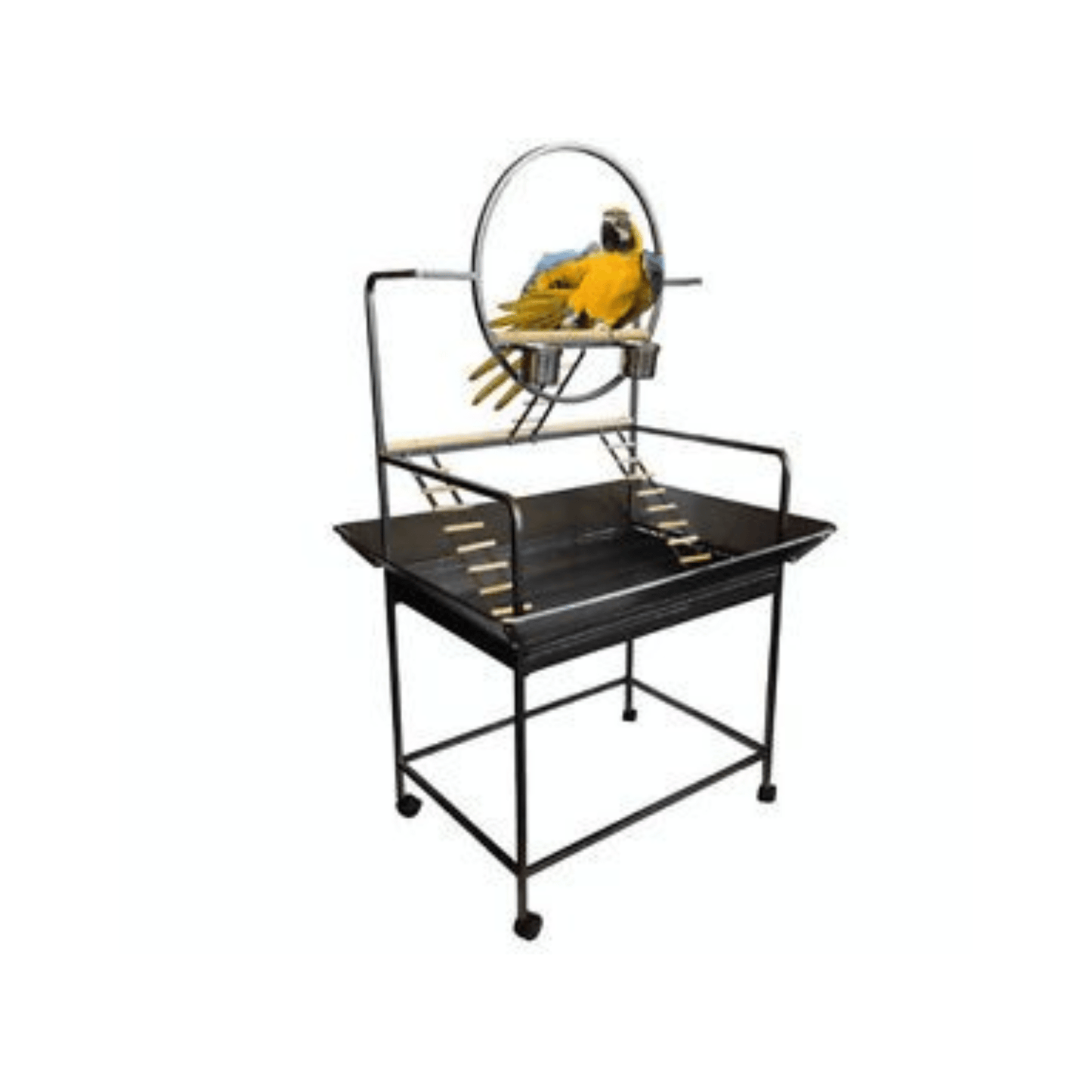 Topmast Speelstandaard Rio - Papegaaishop