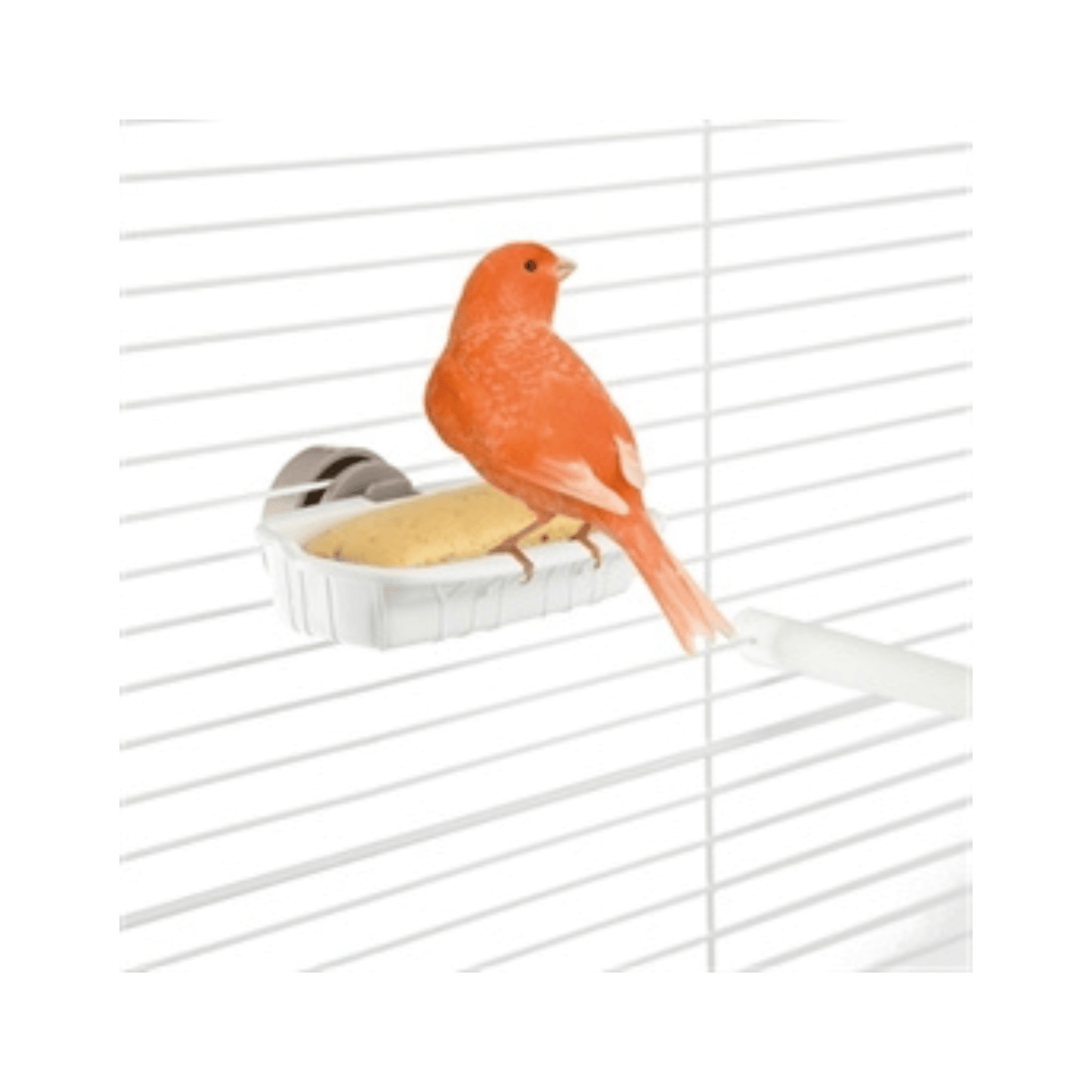 Imac vogel snackhouder assorti 10x6x2,5 cm - Papegaaishop