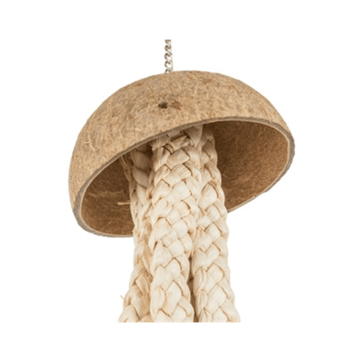 Trixie natuurspeelgoed kokosnootbananenbladen 37 cm 2 st - Papegaaishop