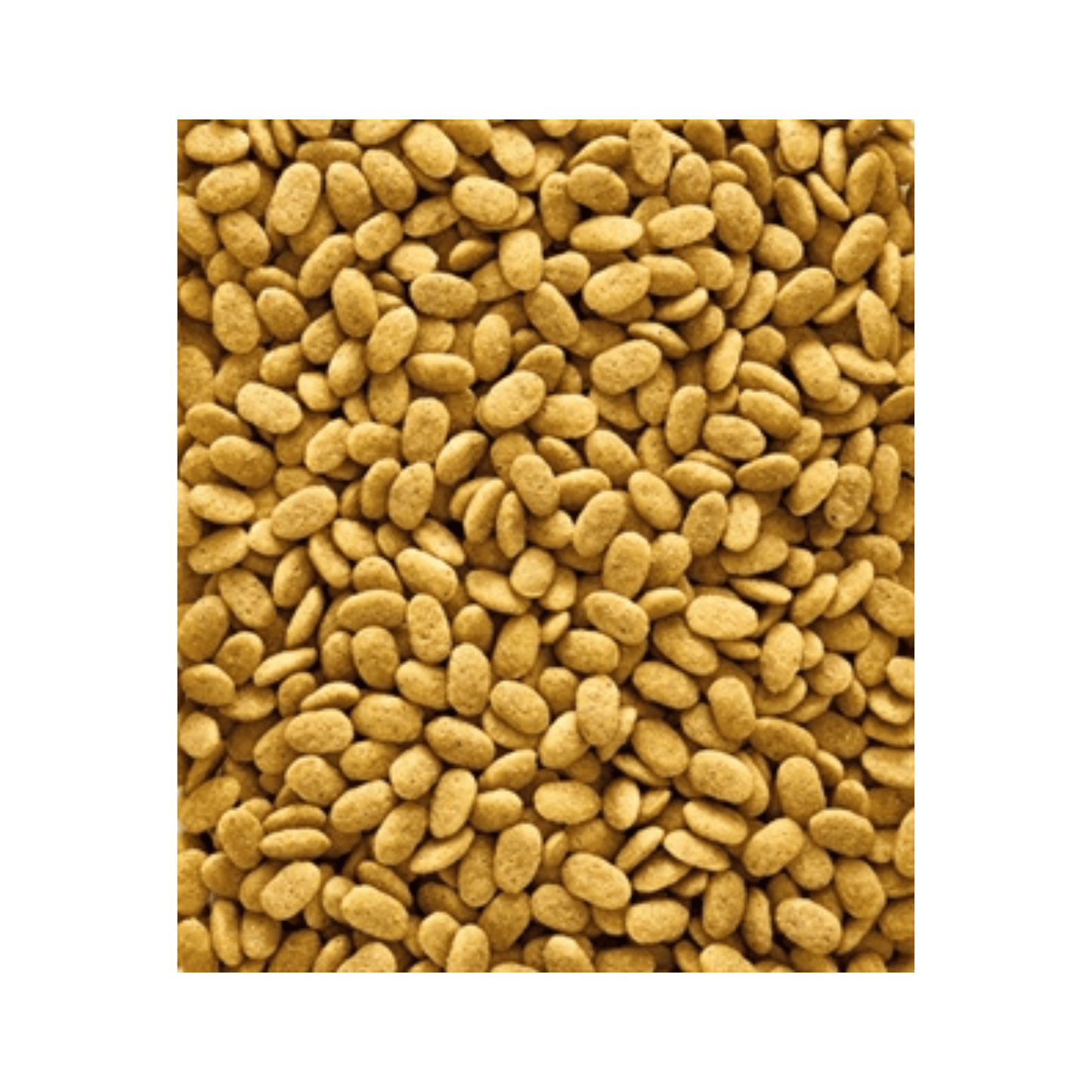 Nutribird p15 original onderhoudsvoeder 10 kg - Papegaaishop