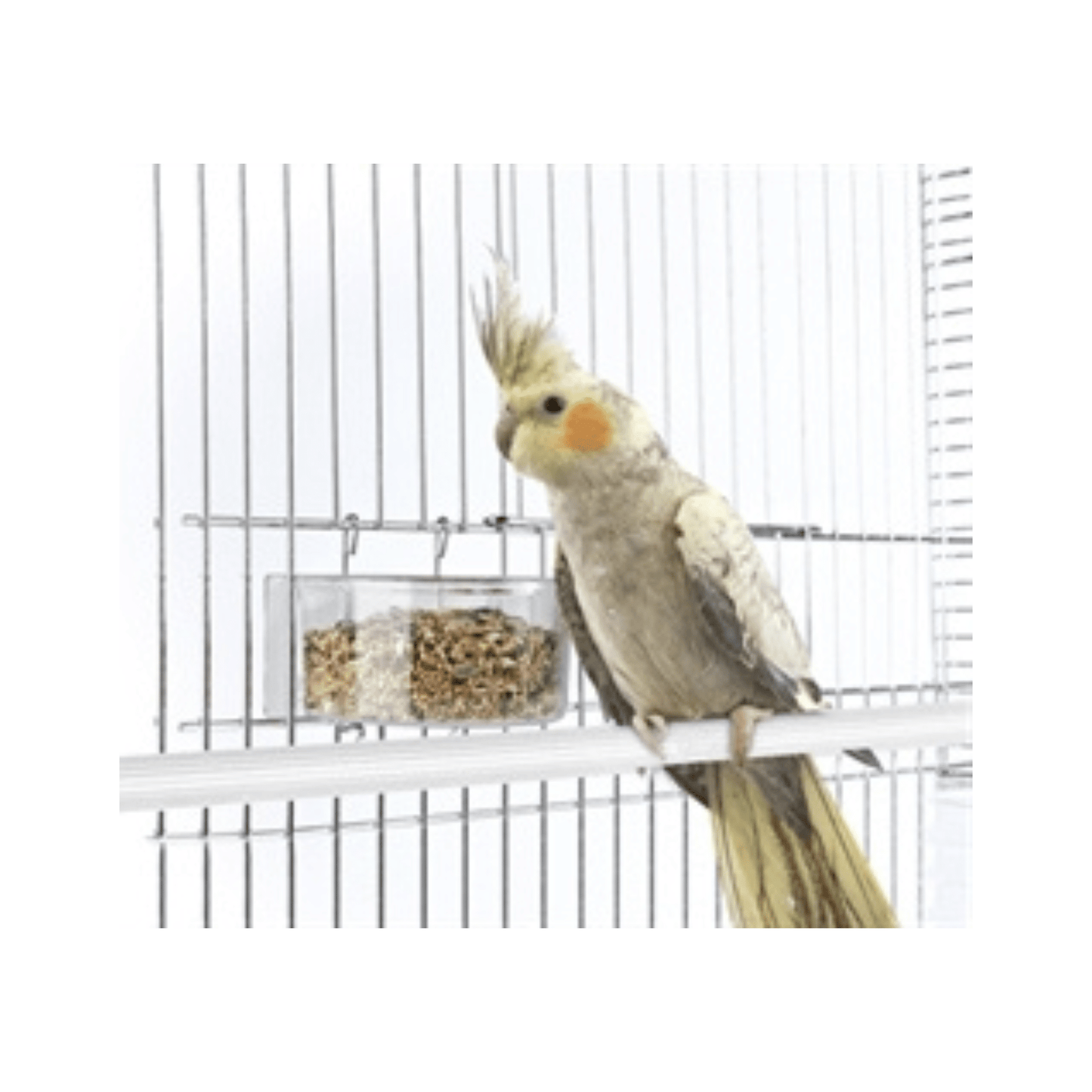 Imac voerbak parrot 11,5x7x4,5 cm - Papegaaishop