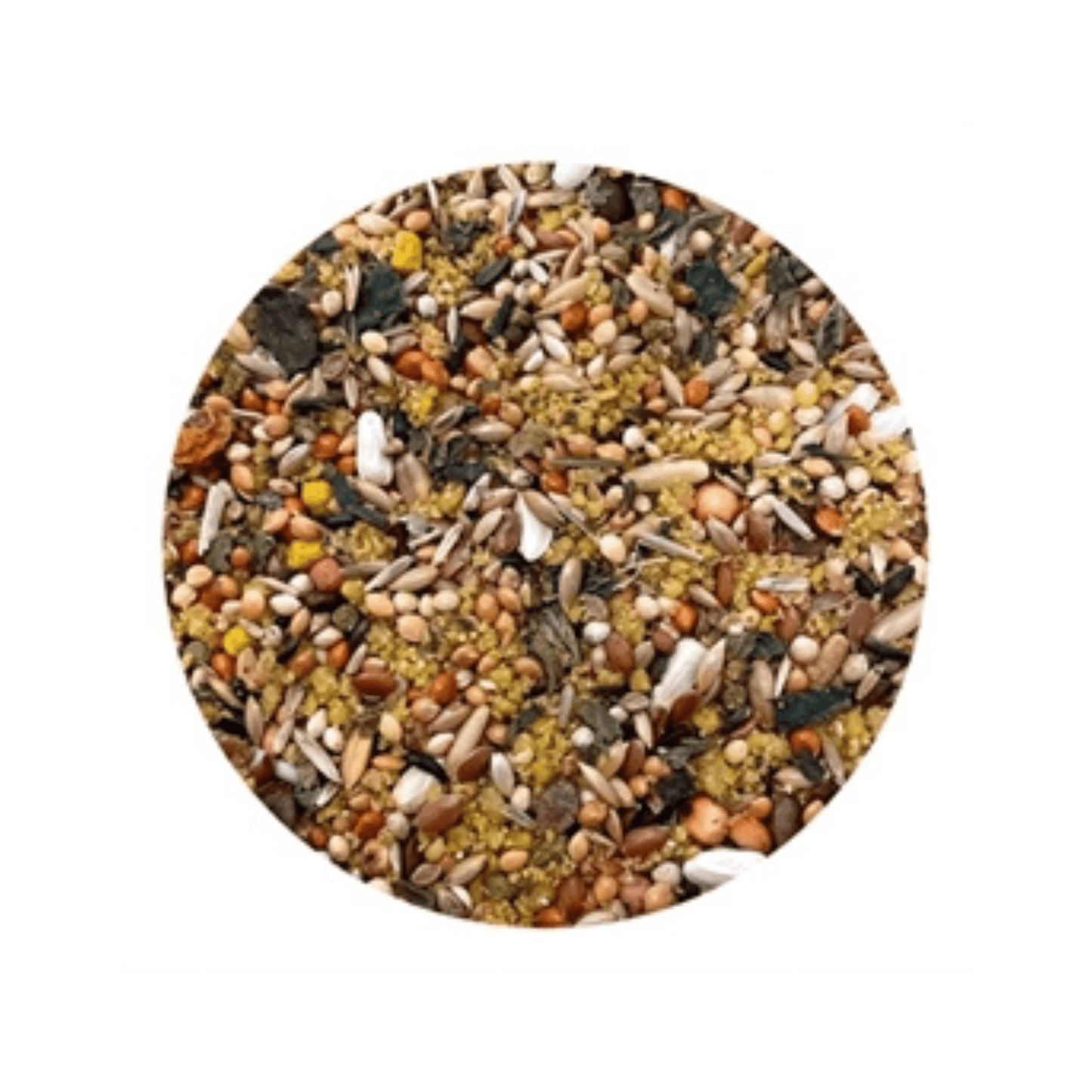 Utopia grote parkieten afrikaans 1 kg - Papegaaishop