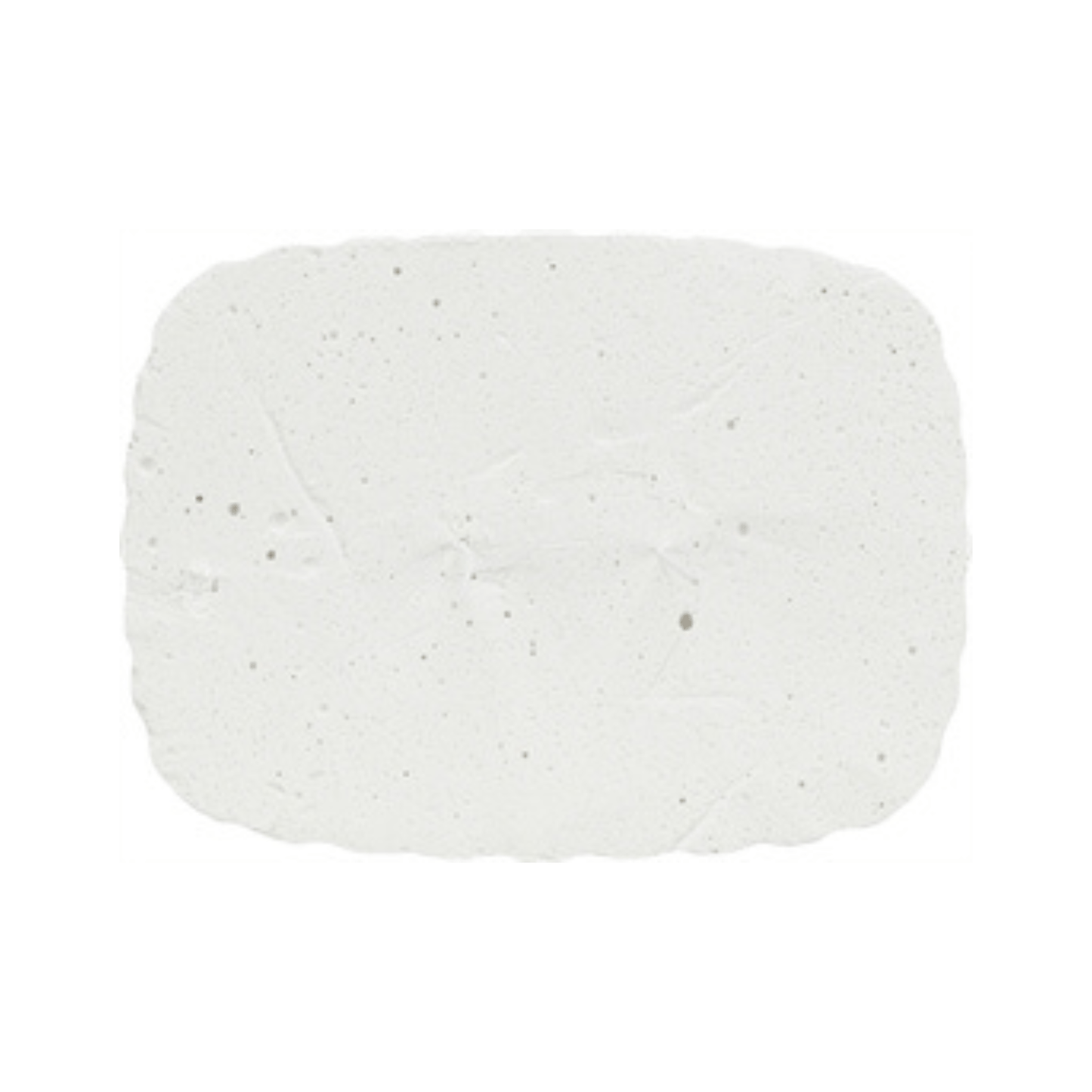 Trixie piksteen met schelpen mineralen en mosselen 200 gr - Papegaaishop