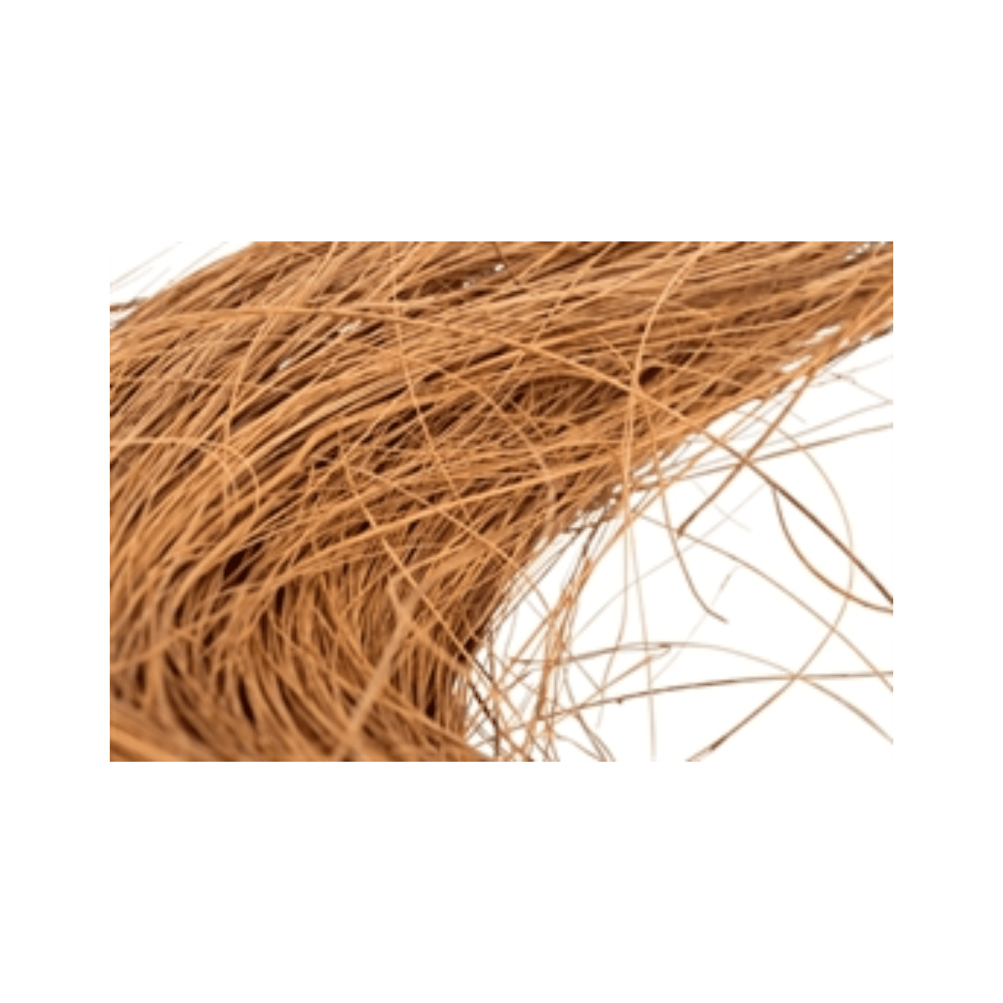 Trixie nestmateriaal gekamde kokosvezels 30 gr - Papegaaishop