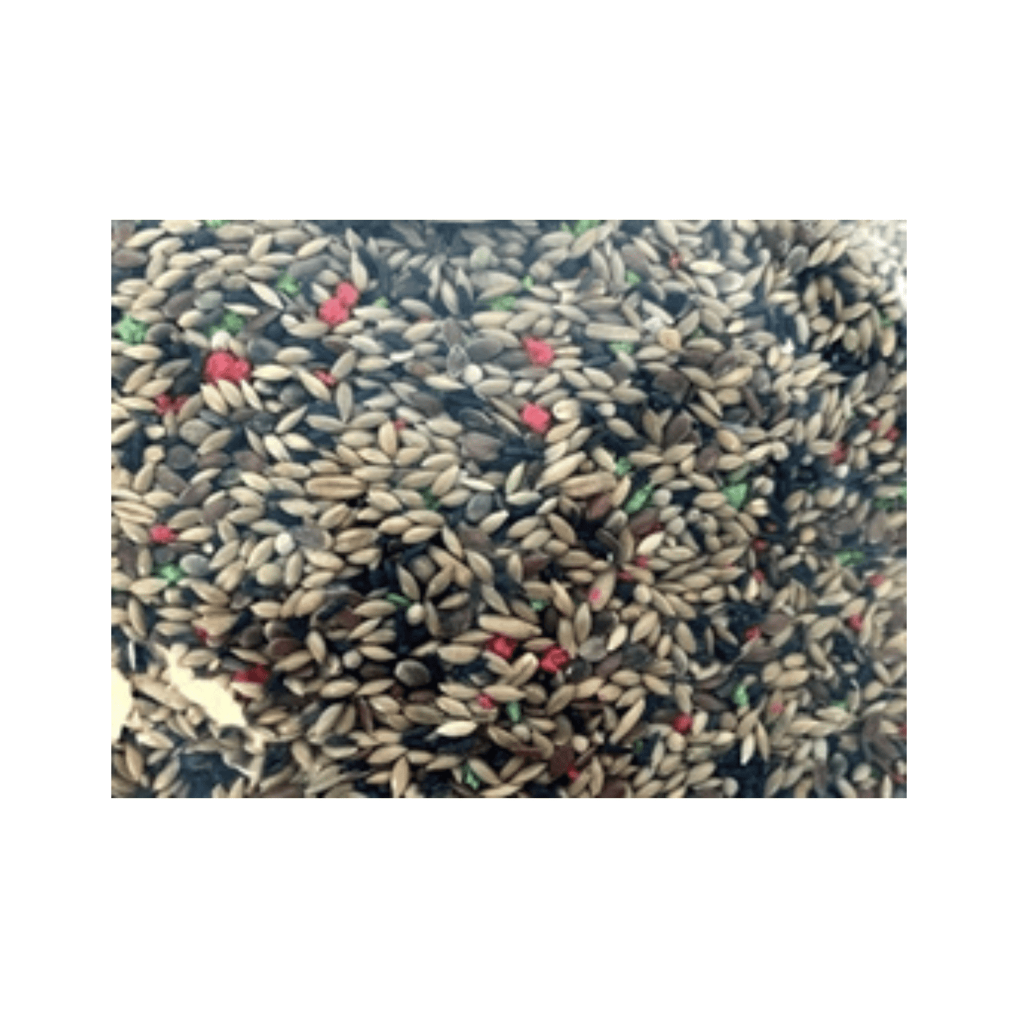 De vries zangzaad 2,5 kg - Papegaaishop