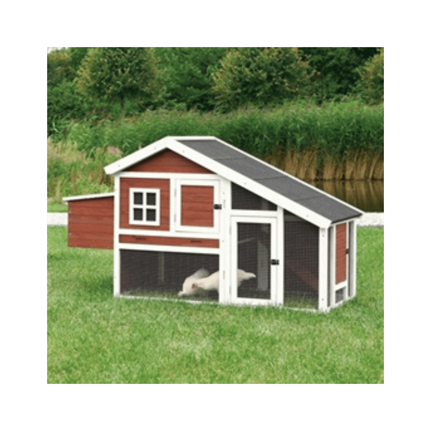 Trixie natura kippenhok grenenhout bruin wit 183x80x107 cm - Papegaaishop
