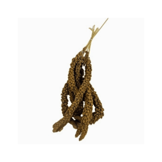 De vries trosgierst 3 kg - Papegaaishop