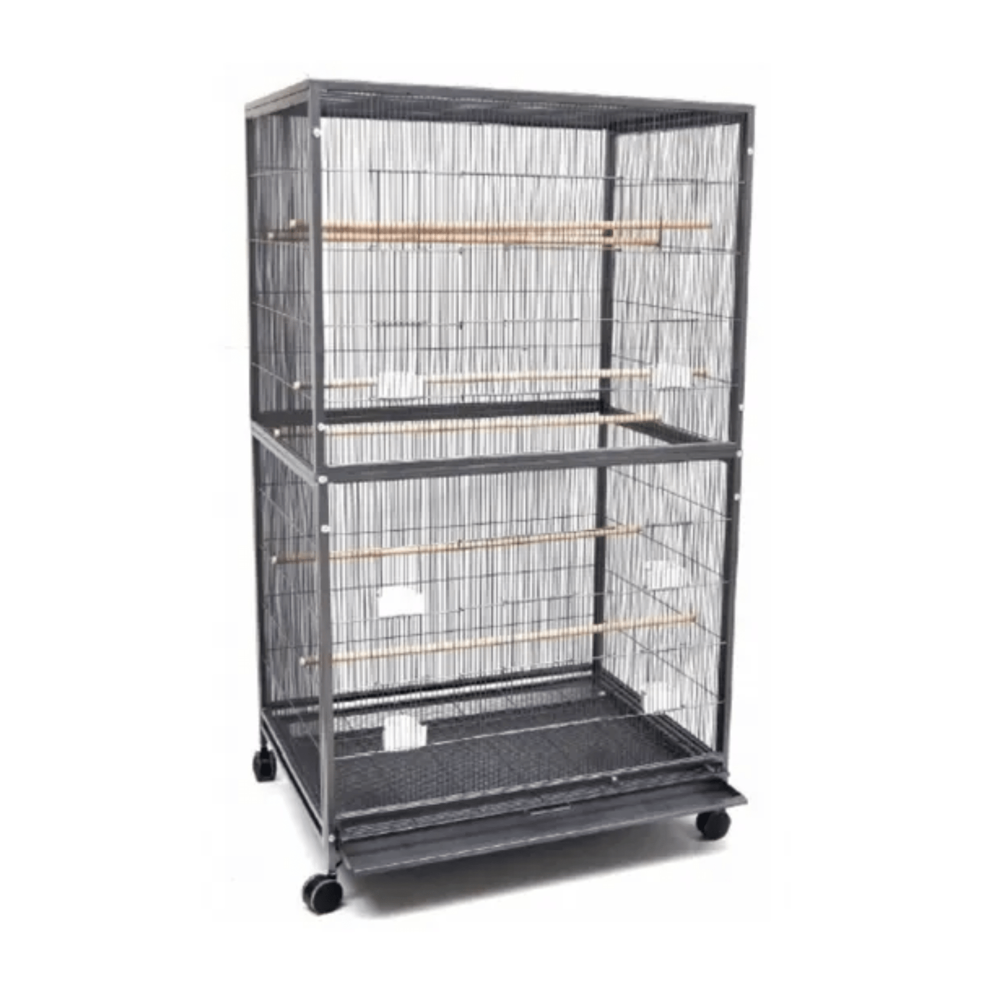 Strong Kamervolière Zara, Zilvergrijs - Papegaaishop