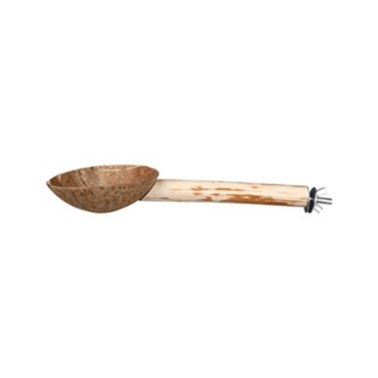 Trixie zitstok met voerbak koksnoot 25 cm 3 st - Papegaaishop