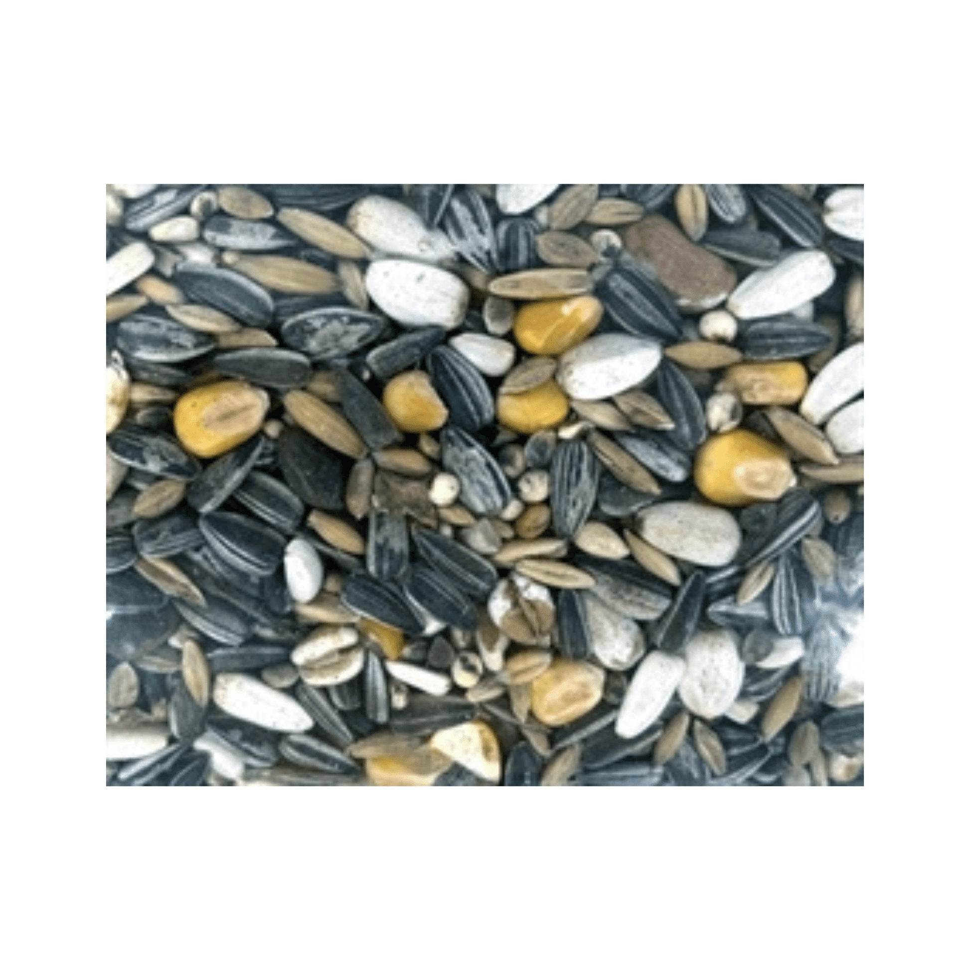 De vries papegaaienvoer 1,8kg - Papegaaishop