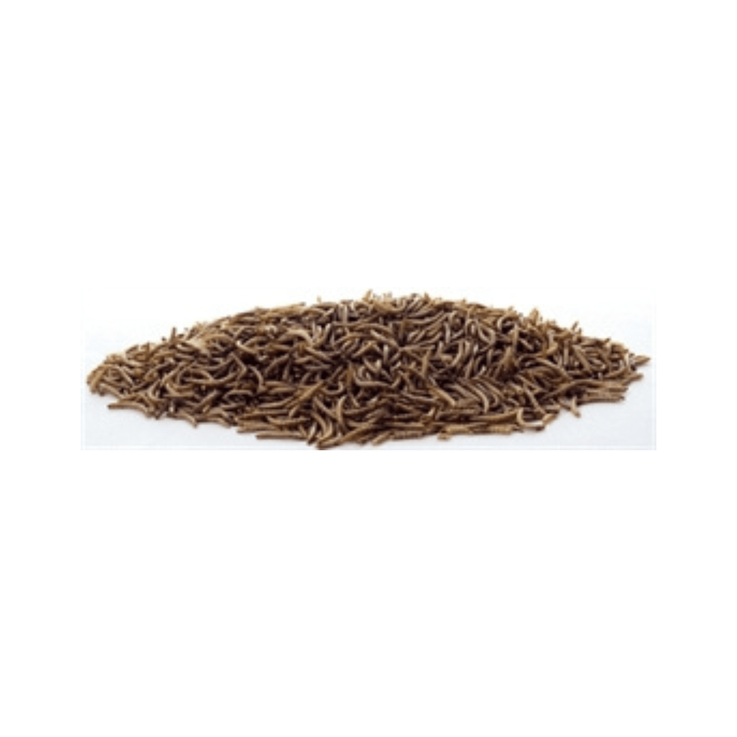 Meelwormen gedroogd 200 gr showing dried mealworms, a high-protein bird snack for energy and health.