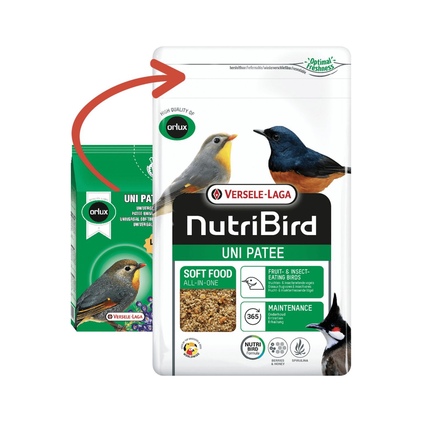 Orlux uni patee universeelvoer 1 kg - Papegaaishop