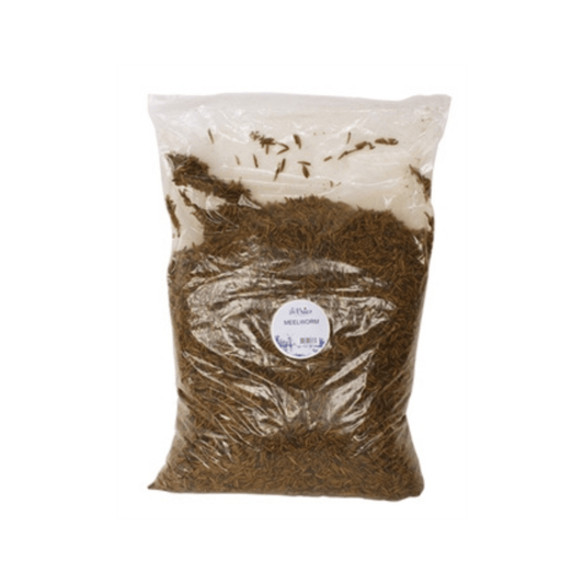 De vries meelworm black soldier fly 5 kg - Papegaaishop