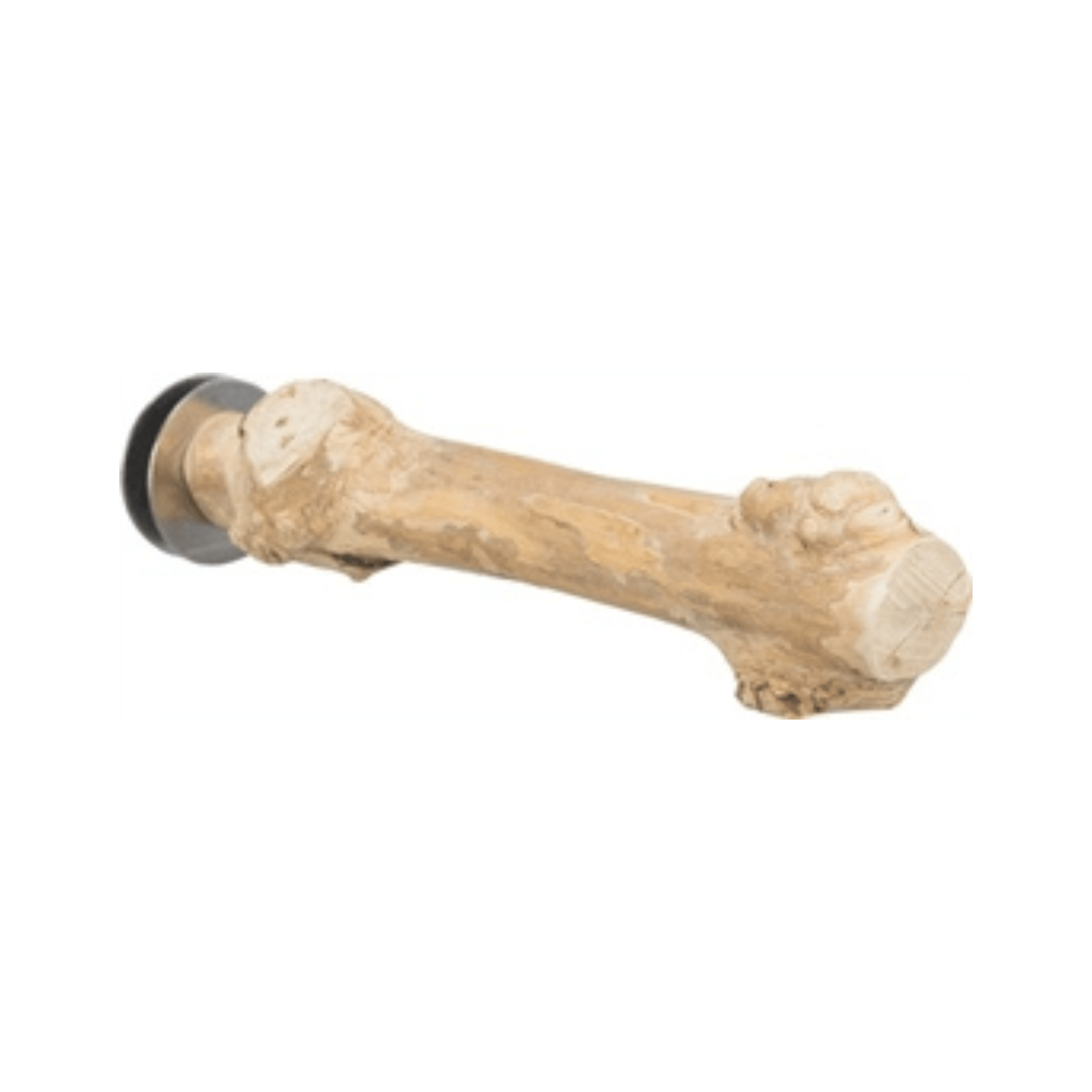 Trixie zitstok met schroefbevestiging koffiehout 20 cm dia 2-3 cm - Papegaaishop