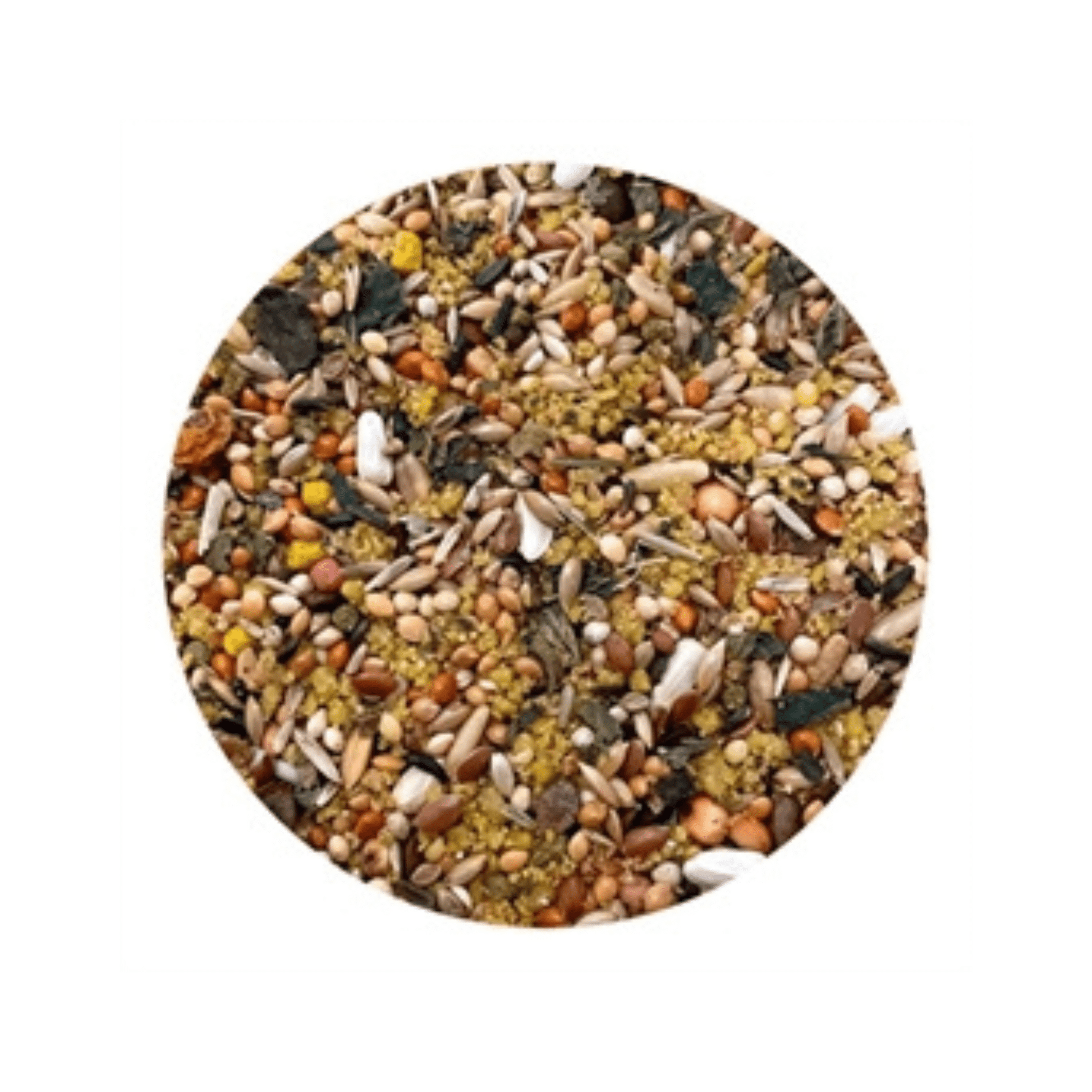 Utopia grote parkieten afrikaans 1 kg - Papegaaishop
