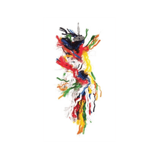 Happy pet speelgoed papegaai plucker assorti 8x8x28 cm colorful hanging bird toy with durable wood and sturdy rope