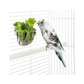 Imac vogel groentehouder assorti 9x6x5,5 cm - Papegaaishop