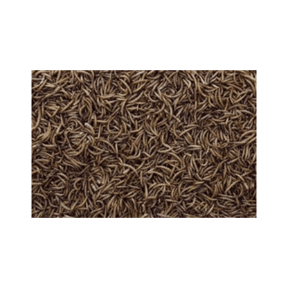 Meelwormen gedroogd 200 gr - Papegaaishop