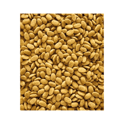 Nutribird p15 original onderhoudsvoeder 1kg - Papegaaishop