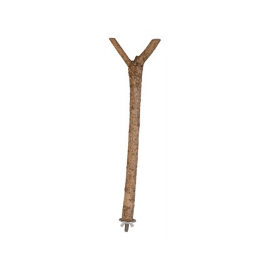 Trixie zitstok y-vorm schorshout 35x1,8cm 3st - Papegaaishop